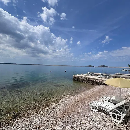 & Neno Tribanj-Krušćica