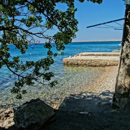 & Neno Tribanj-Krušćica